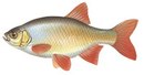 Лаврово-Песочня - иконка «рыбалка» в Деманске